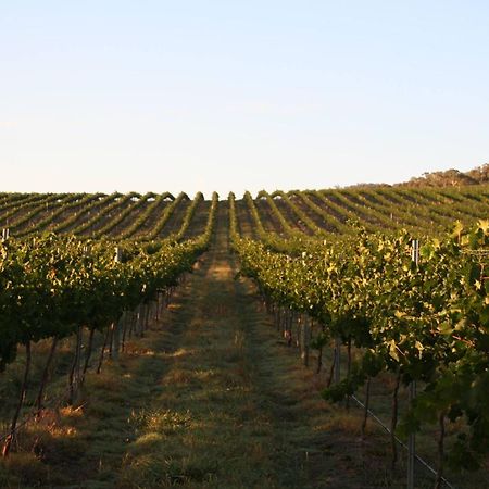 Mayfield Vineyard 오렌지 외부 사진