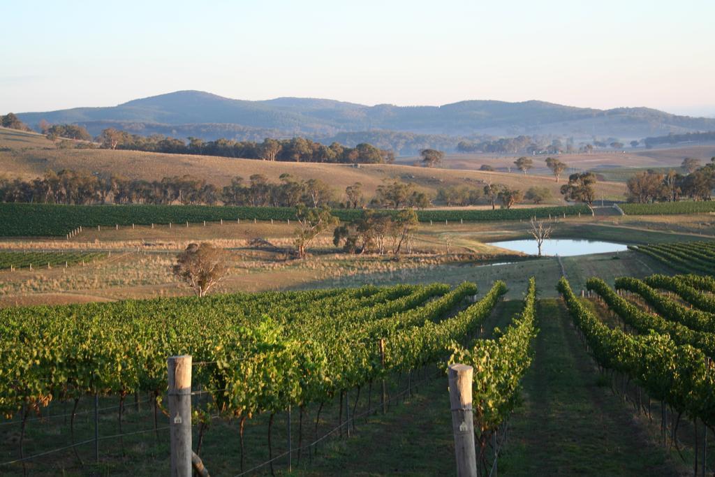 Mayfield Vineyard 오렌지 외부 사진