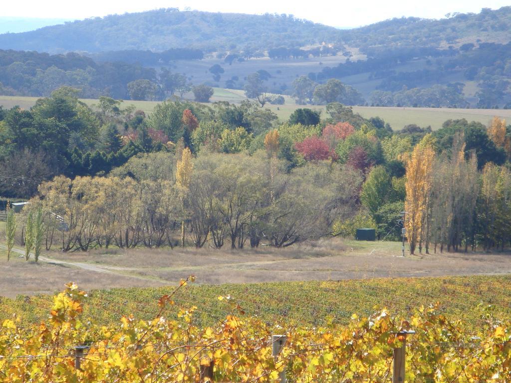 Mayfield Vineyard 오렌지 외부 사진