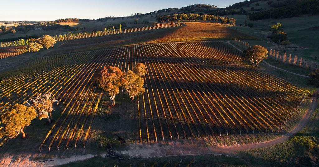 Mayfield Vineyard 오렌지 외부 사진