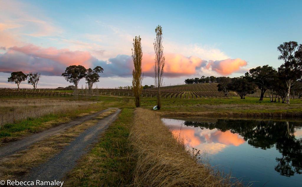 Mayfield Vineyard 오렌지 외부 사진
